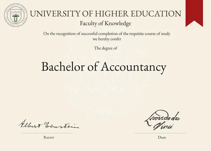 What to Do With an Accounting Degree?